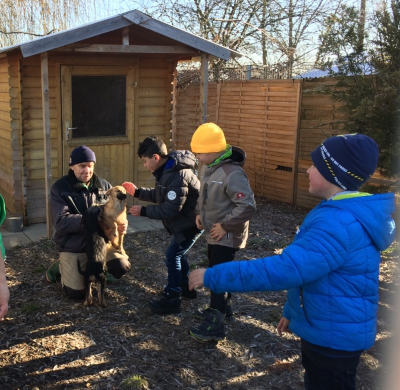 Bild_Tierheim